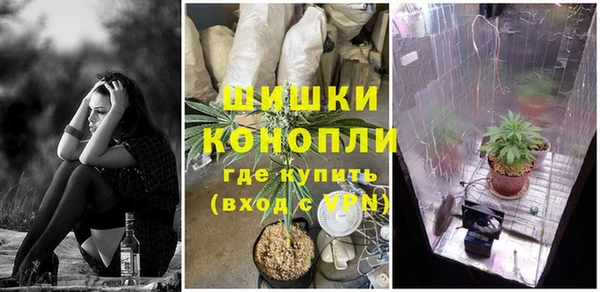 дживик Инсар