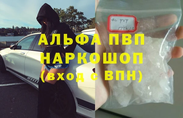 дживик Инсар