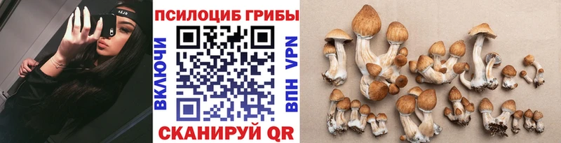 Псилоцибиновые грибы MAGIC MUSHROOMS  Купить  Ступино 